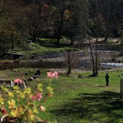 L'Allier des Saveurs