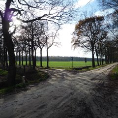 Driesprong Besloten Veenseweg met Duinweg
