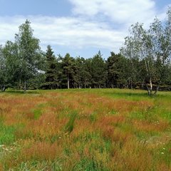 Paysage entre Chabannes Planes et les Estrets, Fon