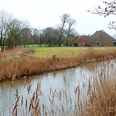 Maarhuizen (vanaf de Trekweg over het Mensingeweerster loopdiep)