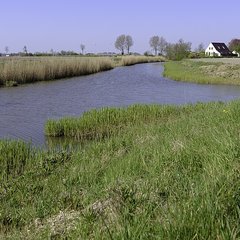 Pieterbuurstermaar (vanaf Westernielandstermaar)