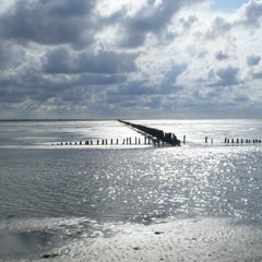 Wadlopen met Lammert Kwant e.a.
